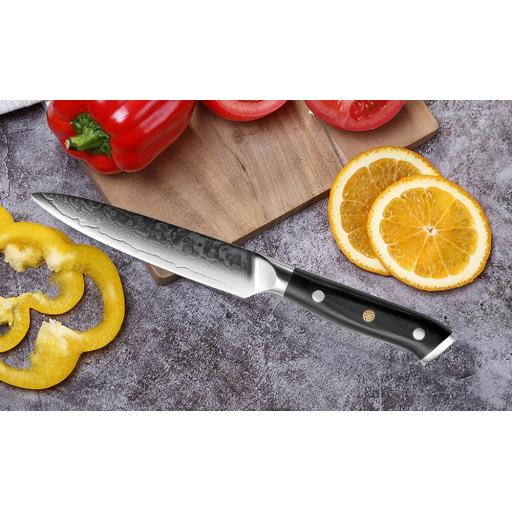 Carbonroq Onyx Fruit Knife