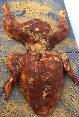 BBQChickenFlattie_1024x1024.jpg